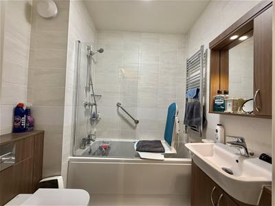 Picture 8